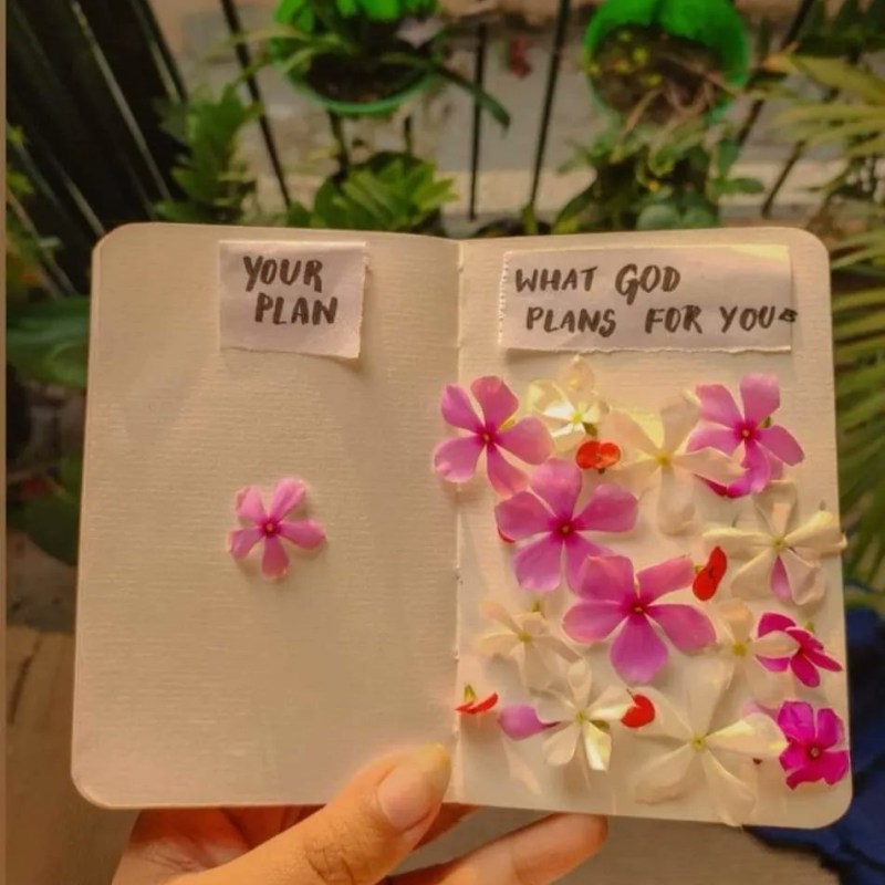 My year of surgeries…